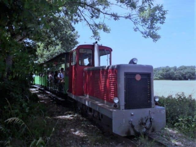 Photo du train touristique du tarn