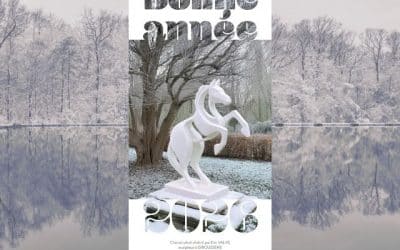 Meilleurs Vœux 2026