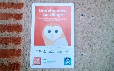 Une chouette, un village